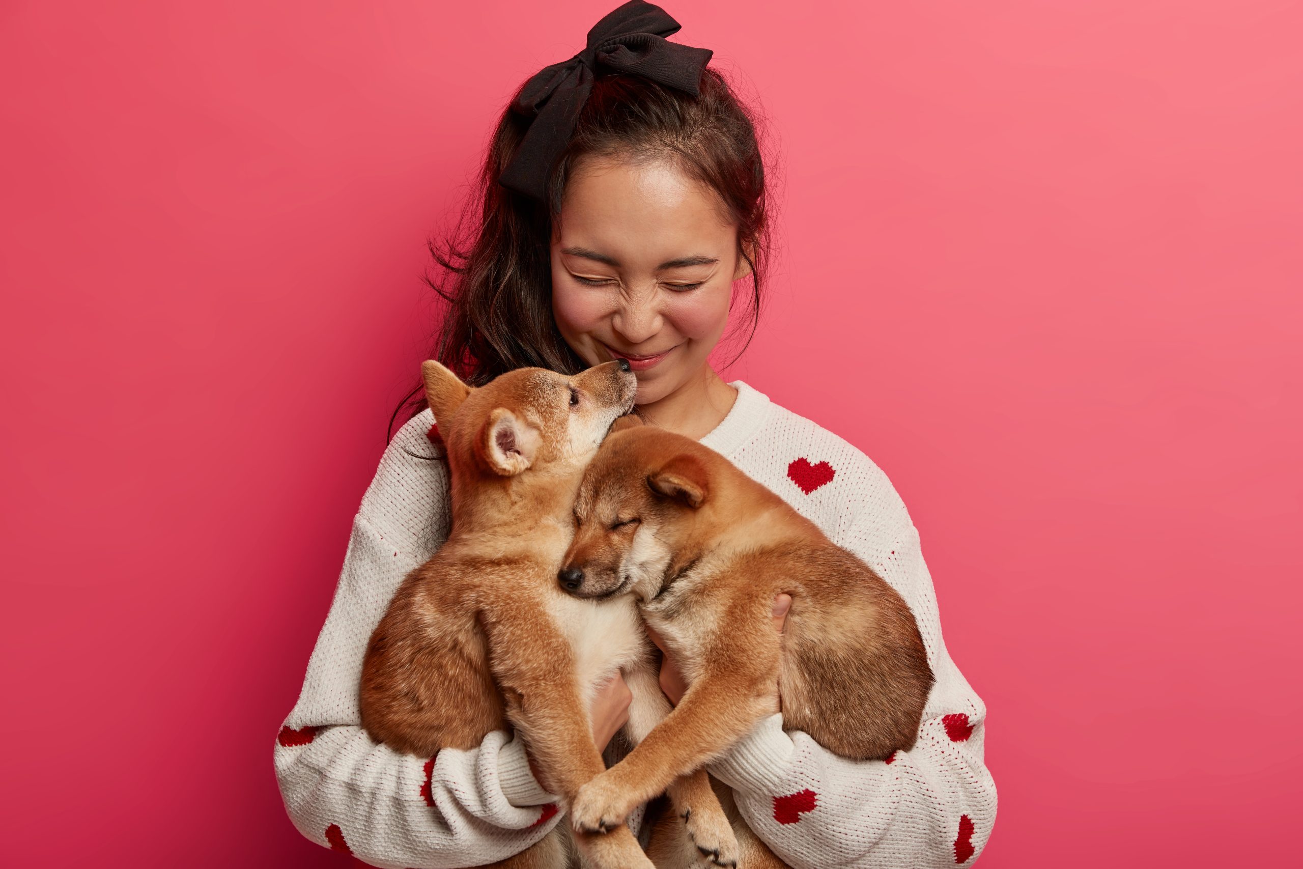 happy pets